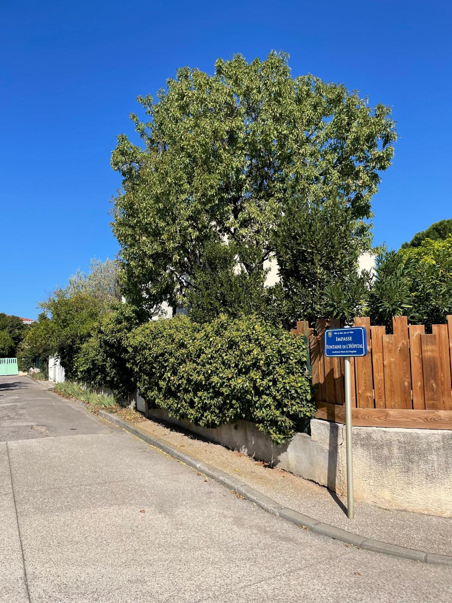 Le Pistachier - Maison Cozy Avec Jardin Privatif Saint-Jean-de-Védas Dış mekan fotoğraf